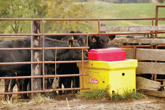 Exploring the Benefits of Ritchie Livestock Fountains